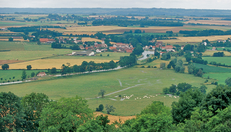 Bbui-burgundy-biking-12
